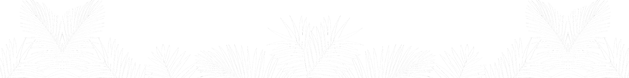 Palm Transparent White